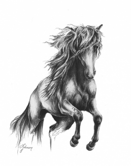 Calixto I