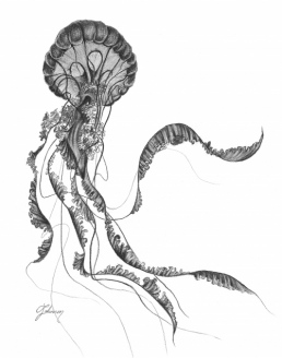 Jelly Dancer I