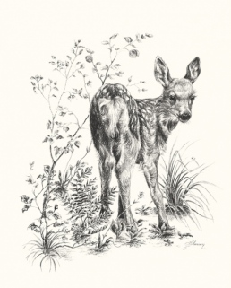Woodland Prince